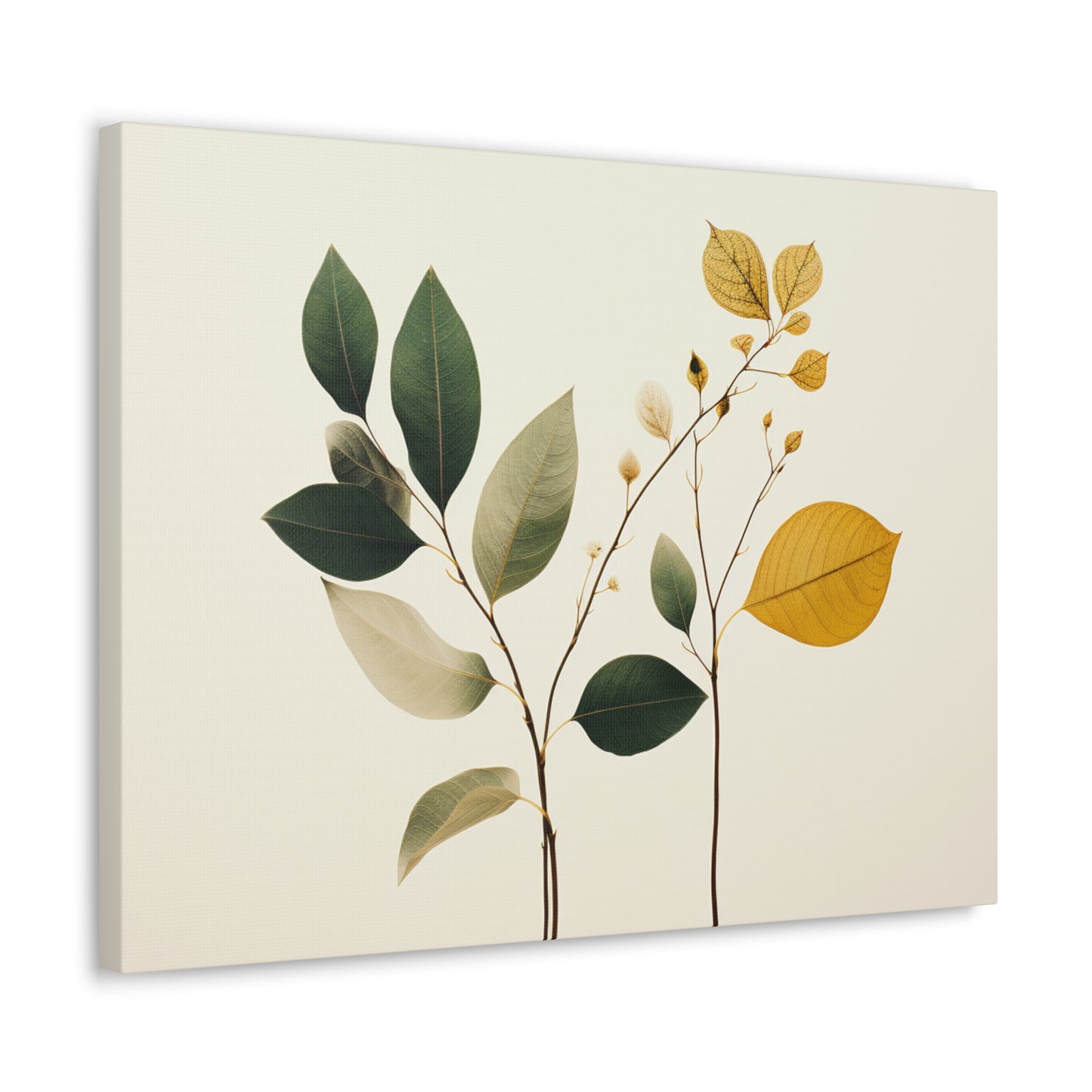 Minimalist Botanical 24x18