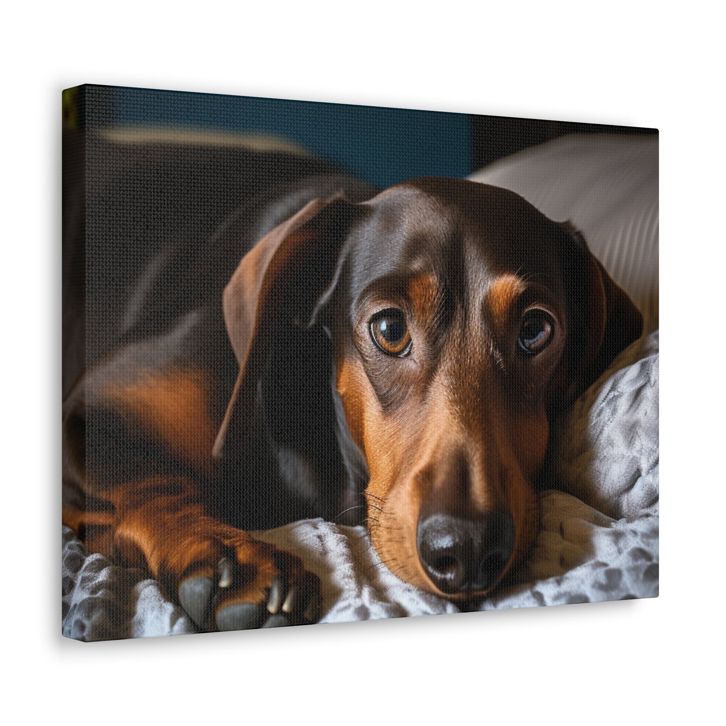 "Comfy Canines 16x12"