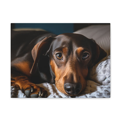 "Comfy Canines 16x12"