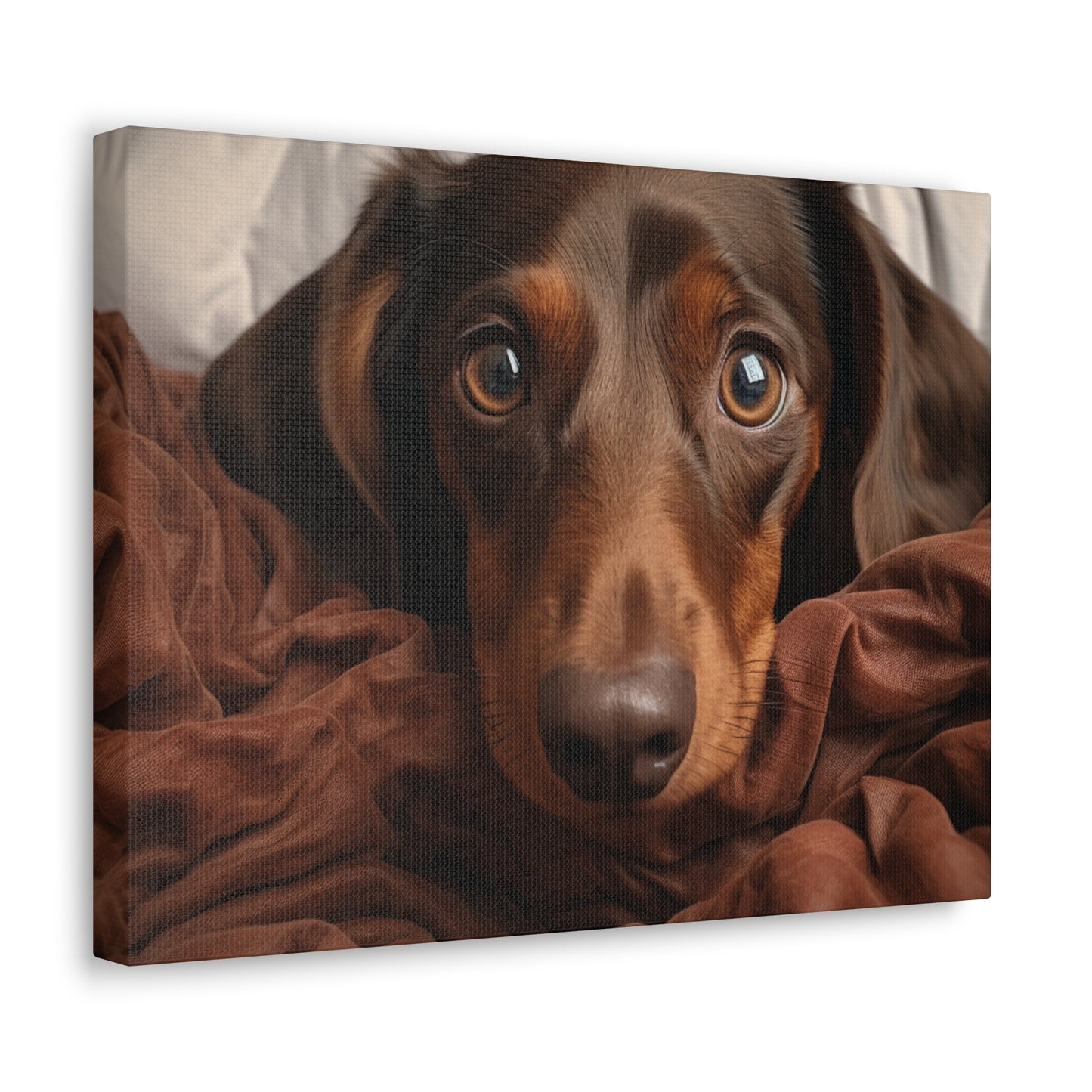 "Cuddle Piles 16x12"